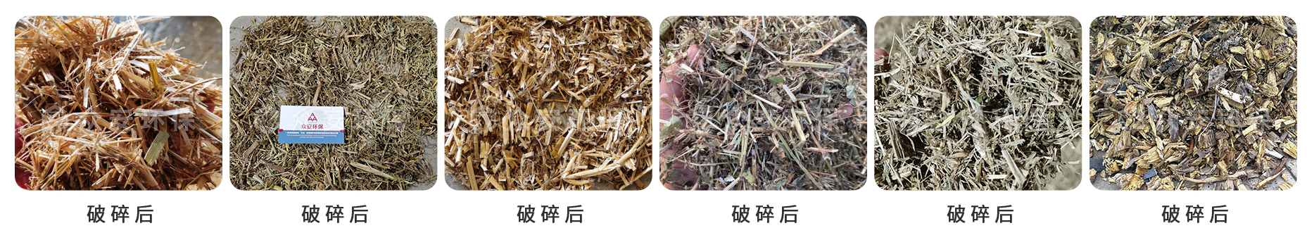 生物质_02.jpg